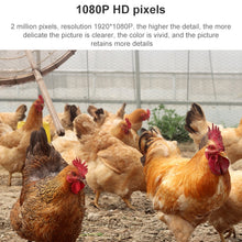 Load image into Gallery viewer, BM1116_B3.jpg@e0ebb34acc1ce0ba89d4b2e37dc1b2ea