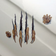 Load image into Gallery viewer, CAR2975.jpg@3002db9b34191f99574d4b603bdc7648