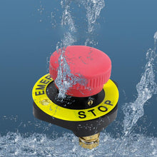 Load image into Gallery viewer, CAR4721_5.jpg@3d8fef648a28718a703ed5a83f9c049a