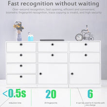 Load image into Gallery viewer, CL0056_5.jpg@8ab5cf7e073e1657c600a952663e5a73