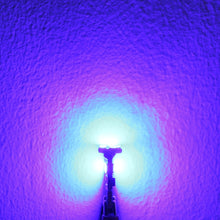 Load image into Gallery viewer, CMS0074L_4.jpg@63f6c329554eb9de3b138d16acf1a5f7