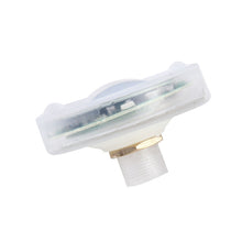 Load image into Gallery viewer, CMS0082_3.jpg@1b519c14d185d86175ef96c4ce56114b