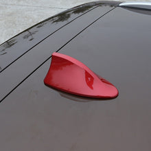 Load image into Gallery viewer, CMS0539R_9.jpg@cb83db413f2fa9d3b53e02130aae39b1