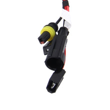 Load image into Gallery viewer, CMS0781_4.jpg@28a88c6053474e039b12437e45275942