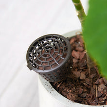 Load image into Gallery viewer, CMS1741_3.jpg@a9412f1270e5dee5eb15816531a998d1