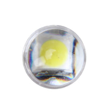 Load image into Gallery viewer, CMS6220PL_3.jpg@7e4c7261574c466e6b53fb07bcc3b7a3