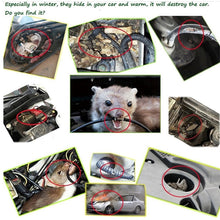 Load image into Gallery viewer, CMS7974_5.jpg@809b9482782149561205f727064ab706