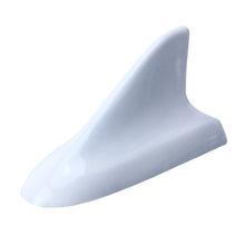 Load image into Gallery viewer, CMS8289A_1.jpg@a7cc9217e1658eb0affd152884b231f8