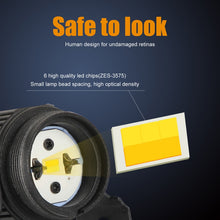 Load image into Gallery viewer, CRP0908_5.jpg@22bb686de320d1533f979ac740e87e0c