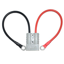 Load image into Gallery viewer, CRP2503_2.jpg@4aeef4eb1b5bc110919d14bcd6de9c62