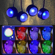 Load image into Gallery viewer, CRP3436_7.jpg@2148c6e84847d93cde2678ba38ef58e5