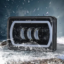 Load image into Gallery viewer, CRP3597_6.jpg@af4b8115bdcb579d1e24f0843b3ce47d