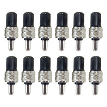 Load image into Gallery viewer, CRP3828.jpg@1f1389ede624ab7bea1e8c01259413cf