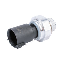 Load image into Gallery viewer, CRP9853_1.jpg@92d02f8f4d0da34b38ba56de9882c8c0