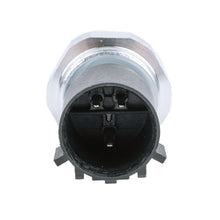 Load image into Gallery viewer, CRP9853_2.jpg@6a285acf7c8c45c5e65306863b50fa3b