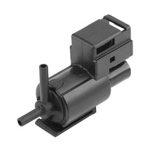 Load image into Gallery viewer, CRP9857_1.jpg@9143e45253ac538e8cd88426c05818e7