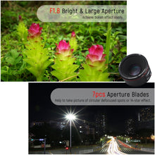 Load image into Gallery viewer, DCA0616B_9.jpg@cc1a41b2ace7dc15aabf891698093960