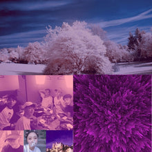 Load image into Gallery viewer, DCA0667_5.jpg@219a3d45d0027c7ccdb22daab5ad7195