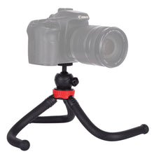 Load image into Gallery viewer, DCA0695_7.jpg@7fc0884de511a955018acb887defd7f8