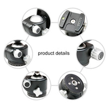 Load image into Gallery viewer, DCA0814_5.jpg@e5e564373774fe28f610604b7e9254c3