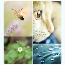 Load image into Gallery viewer, DCA0861_13.jpg@312f42e6add48bdbee278e3f0aa8ab5e