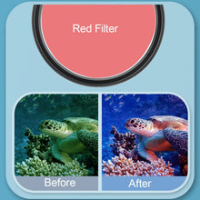 Load image into Gallery viewer, DCA0956_6.jpg@184db39e049e7b5631d3d00874cb38b1