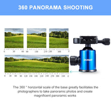 Load image into Gallery viewer, DCA1150_9.jpg@710b197bb485c08a54bfc7a0c56510d3