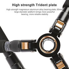 Load image into Gallery viewer, DCA1155_12.jpg@ebebcac3fa56ef49cee609ca87164949