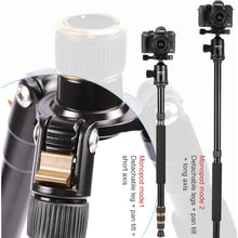 Load image into Gallery viewer, DCA1155_13.jpg@e1f26e2499e911cb8a0b8fa4b7480f0a