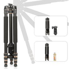 Load image into Gallery viewer, DCA1155_5.jpg@70b34c0e4f2f38232f55f371c28199ab