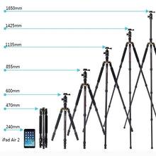 Load image into Gallery viewer, DCA1156_2.jpg@077e61c3def7fcb362b7e2e1961a9302