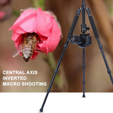 Load image into Gallery viewer, DCA1185_10.jpg@bb7700cfa3c0fcb87d1be747b0241548