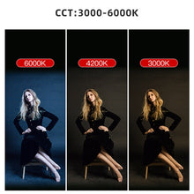 Load image into Gallery viewer, DCA1227B_5.jpg@7b3185b5af82d8c352af9142983337fd