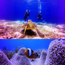 Load image into Gallery viewer, DCA1315_6.jpg@1795410e351760e91b2c9624d215a649