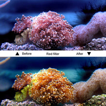 Load image into Gallery viewer, DCA1471T_13.jpg@35f4b9ed13fbebbfb350493c2ef5e9a2