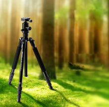 Load image into Gallery viewer, DCA1562B_1.jpg@8912218979c293d053383f69df2a0357