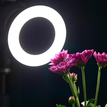 Load image into Gallery viewer, DCA1678B_6.jpg@bc98f86417fec205551a3bc5224554d5