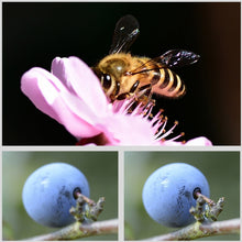 Load image into Gallery viewer, DCA1983_2.jpg@2e4a5f002090fab061e500082e925e11