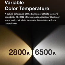 Load image into Gallery viewer, DCA1990_B6.jpg@09a475db7112f6e3c592ec8aa34ab2d5