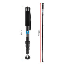 Load image into Gallery viewer, DCA2074_1.jpg@969649ecf208a8c28eb7d8011b0f51cf