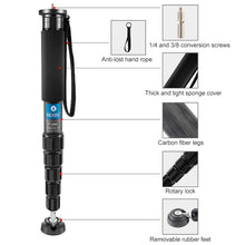 Load image into Gallery viewer, DCA2074_2.jpg@17381a6be239274a7ae7a10edf760af4