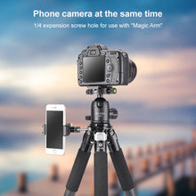 Load image into Gallery viewer, DCA2088_7.jpg@b50ba907cd9b9d75bbf5f0cd5ed2e762