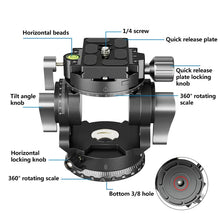 Load image into Gallery viewer, DCA2098_2.jpg@404aa7cc63a9dec2a660df4427c79231