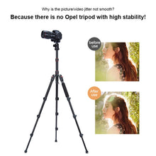 Load image into Gallery viewer, DCA2168_7.jpg@2e8ae63247618cf480e8f319c2ec4689