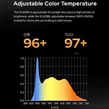 Load image into Gallery viewer, DCA2199_B6.jpg@d819988ede64d990f652fba03bf8696c