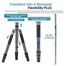 Load image into Gallery viewer, DCA2870B_8.jpg@129b05602980e4b543901a435d24b26e