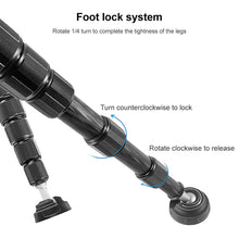 Load image into Gallery viewer, DCA3076_6.jpg@6779a584995f0976985cf189963ffb8e