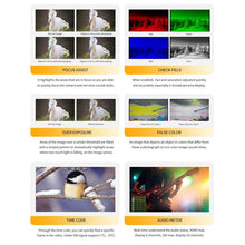 Load image into Gallery viewer, DCA3127_B8.jpg@53f58aa052c5080108b859b6b8f75e79