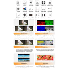 Load image into Gallery viewer, DCA3131B_12.jpg@ee93dd7131b753b8d3972dba7d2affdf