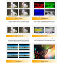 Load image into Gallery viewer, DCA3133_B6.jpg@1490253d6ad24b7ead40e22dfa2904e2